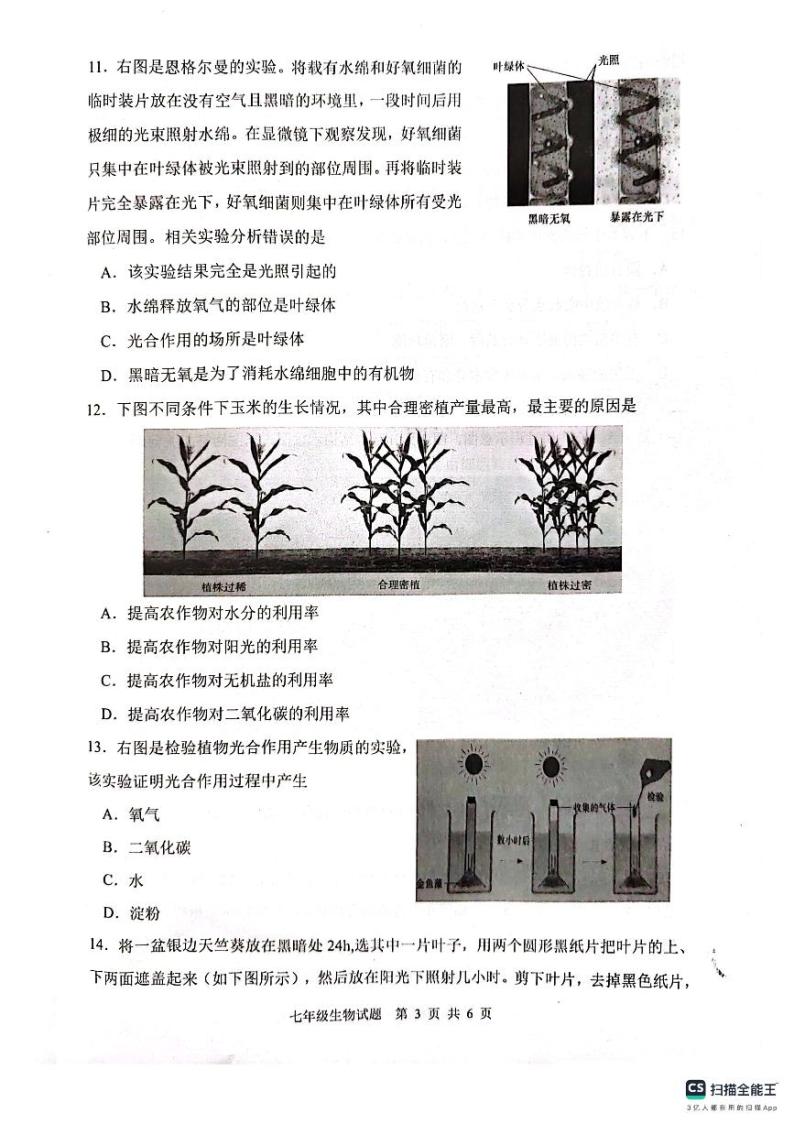 江苏省连云港市灌云县2023-2024学年七年级上学期期中生物试题03