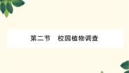 初中生物冀少版七年级上册第二节  校园植物调查教案配套课件ppt