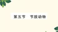 冀少版七年级上册第五节 节肢动物教学演示ppt课件