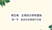 冀少版七年级上册第一节 尝试对生物进行分类集体备课课件ppt