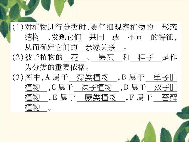 冀少版生物七年级上册 5.1 尝试对生物进行分类课件03