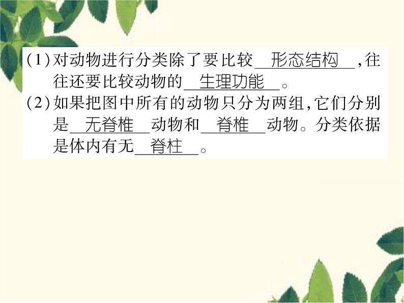 冀少版生物七年级上册 5.1 尝试对生物进行分类课件05
