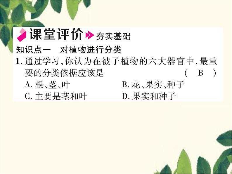 冀少版生物七年级上册 5.1 尝试对生物进行分类课件06