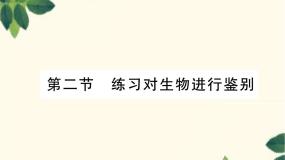 初中生物第二节 练习对生物进行鉴别图片课件ppt