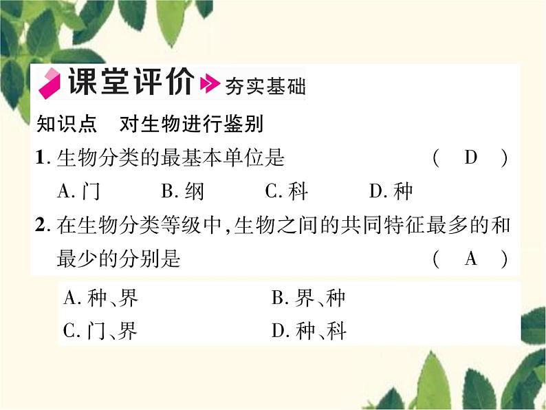 冀少版生物七年级上册 5.2 练习对生物进行鉴别课件06