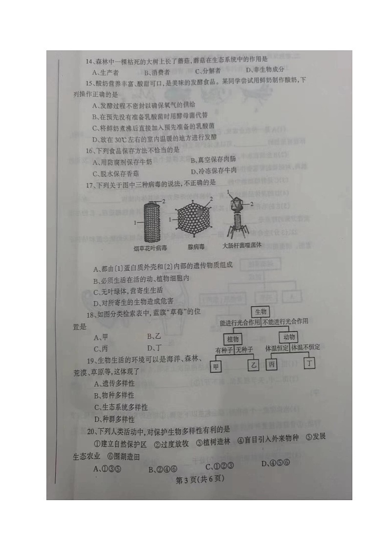 辽宁省丹东市凤城市2023-2024学年八年级上学期期中考试生物试题03