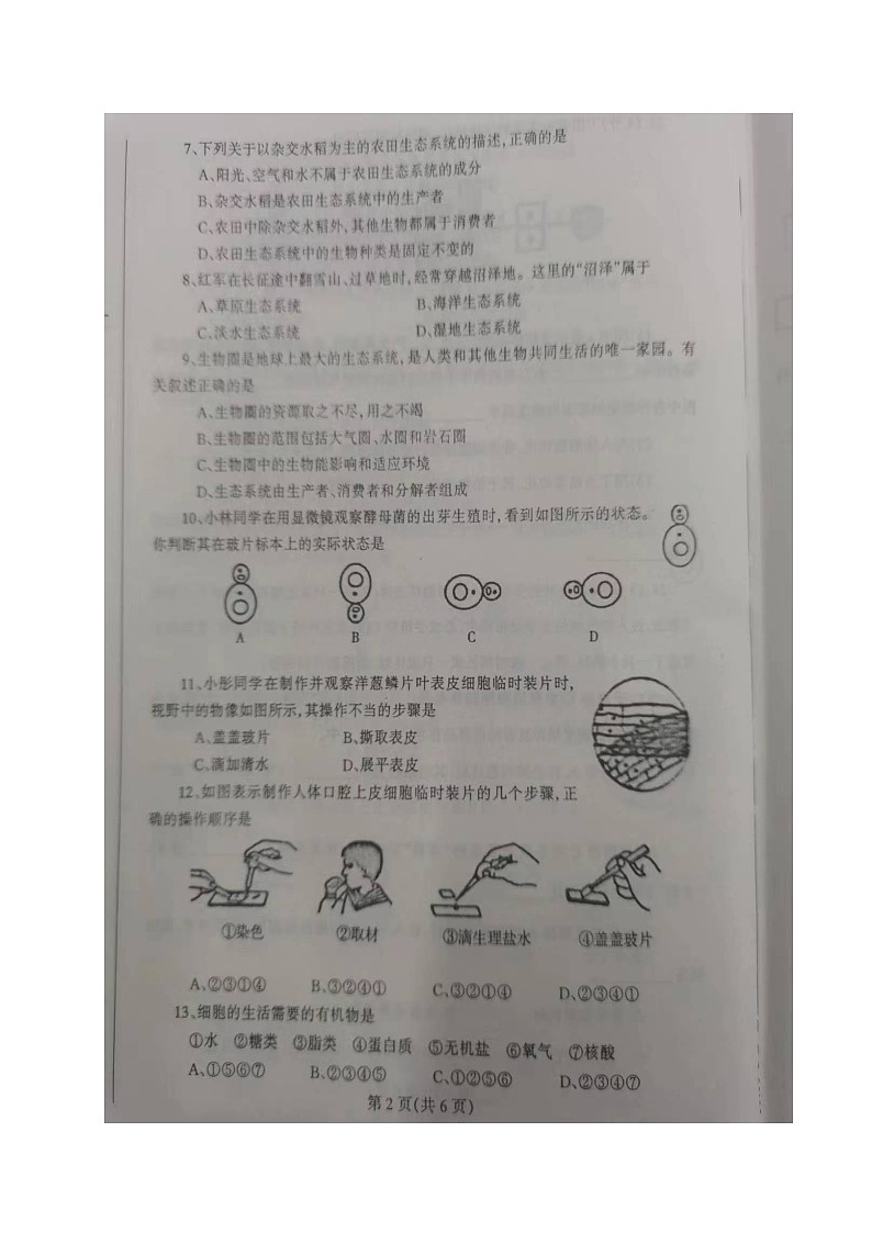 辽宁省丹东市凤城市2023-2024学年七年级上学期期中考试生物试题02