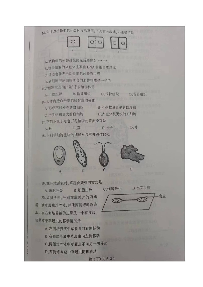 辽宁省丹东市凤城市2023-2024学年七年级上学期期中考试生物试题03