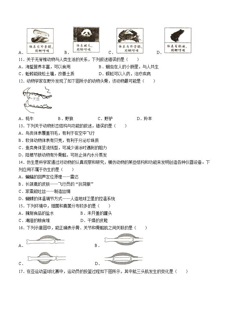 福建省福州市福清市2023-2024学年八年级上学期期中生物试题第2页