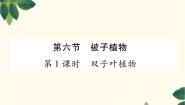 生物七年级上册第六节 被子植物教课内容课件ppt