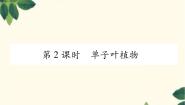 冀少版七年级上册第六节 被子植物备课ppt课件