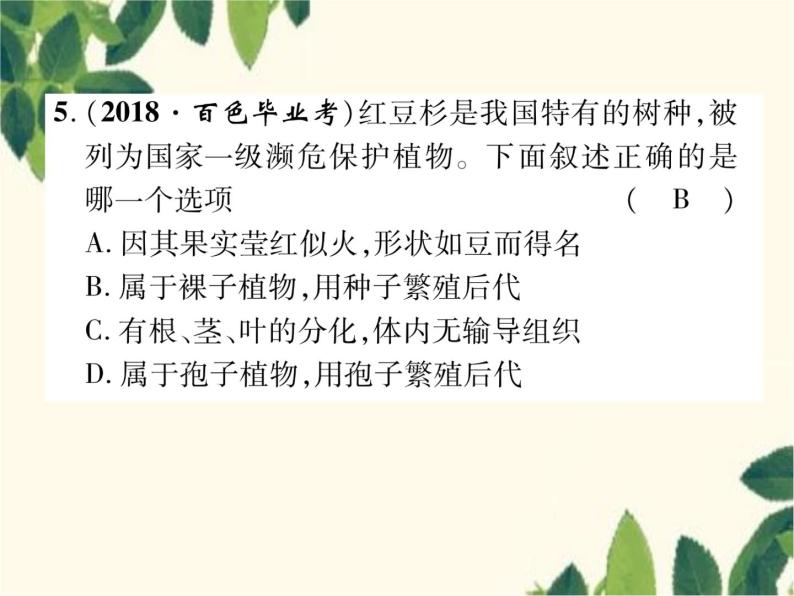 冀少版生物七年级上册 3.7 我国的珍稀植物课件08