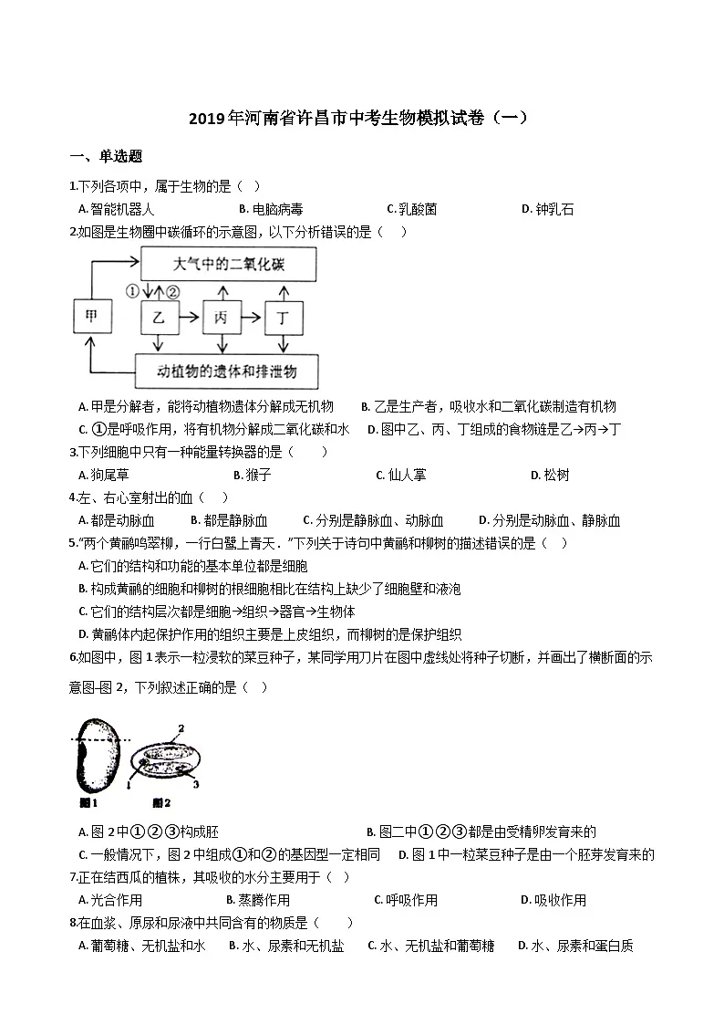 中考生物模拟试卷及答案(一)第1页