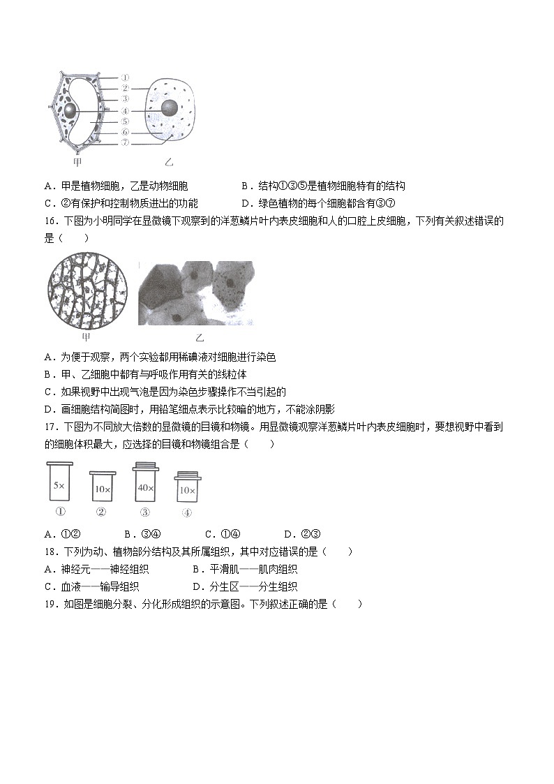 河北省石家庄市赵县2023-2024学年七年级上学期期中生物试题第3页