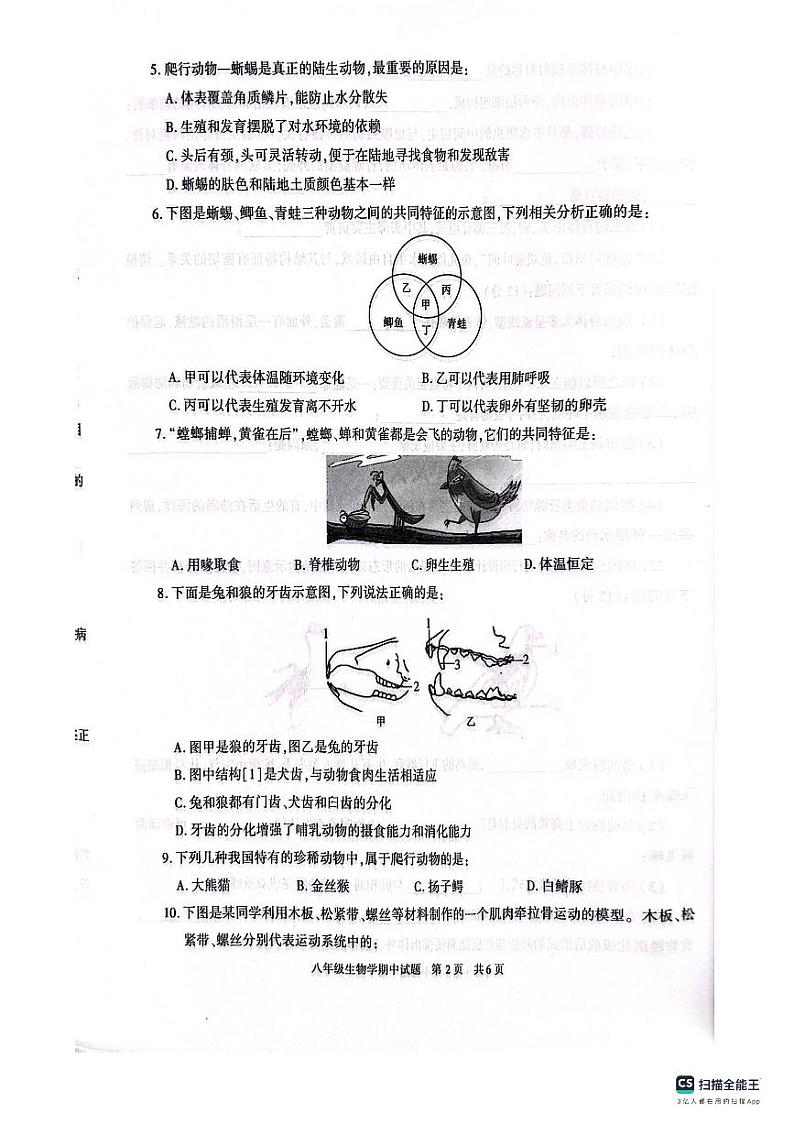 陕西省西安市长安区2023-2024学年八年级上学期期中生物试题第2页