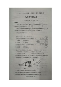 山东省德州市禹城市2023-2024学年八年级上学期期中生物试题