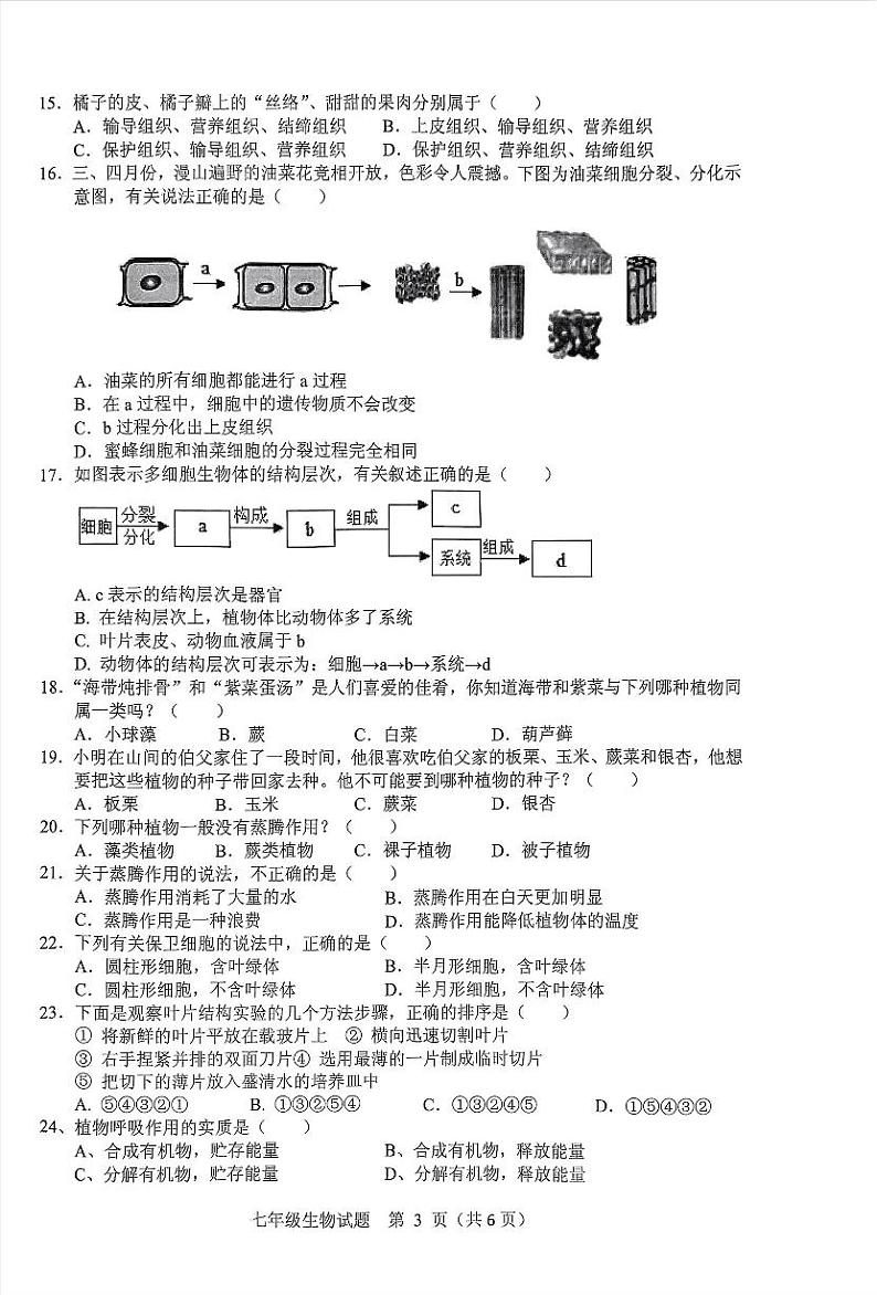 四川省广安市岳池县2023-2024学年七年级上学期期中生物学试卷第3页