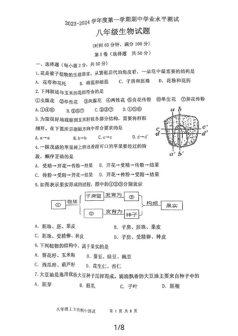 山东省济宁市嘉祥县2023-2024学年八年级上学期期中学业水平测试生物学试题01