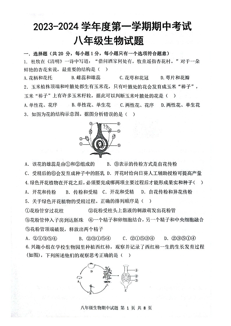 山东省菏泽市单县2023-2024学年八年级上学期期中生物学试题01