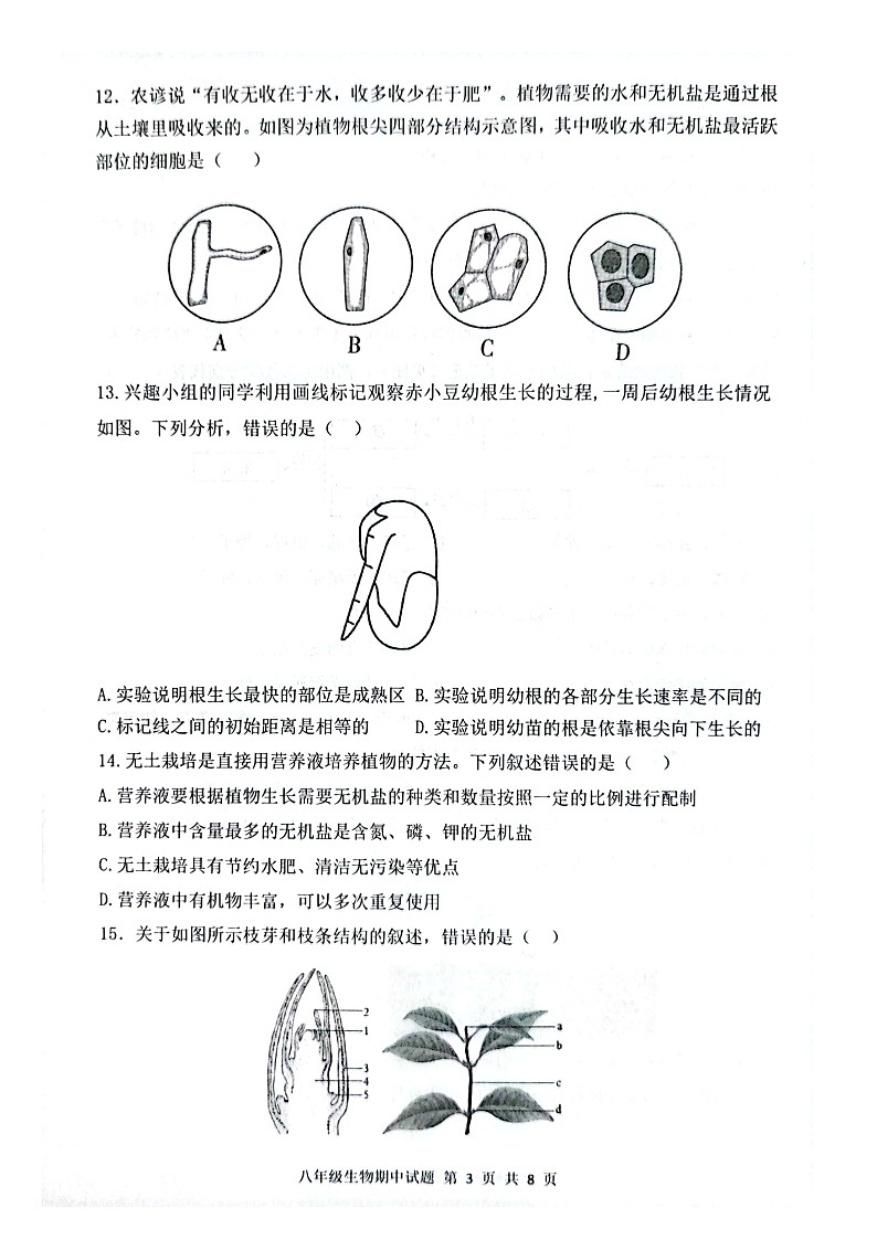 山东省菏泽市单县2023-2024学年八年级上学期期中生物学试题03