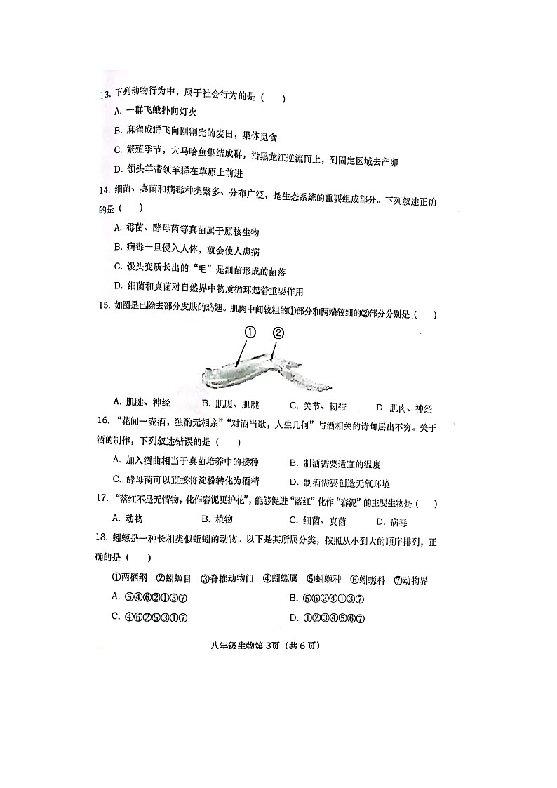 河南省南阳市社旗县2023-2024学年八年级上学期期中生物学试题03