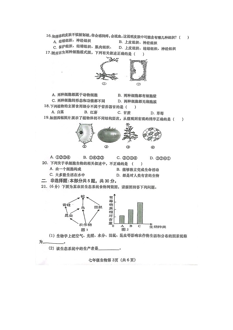 河南省南阳市社旗县2023-2024学年七年级上学期期中生物学试题第3页