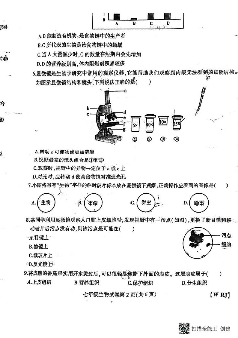 河南省开封市杞县大同中学2023—2024学年七年级上学期期中生物试题第2页