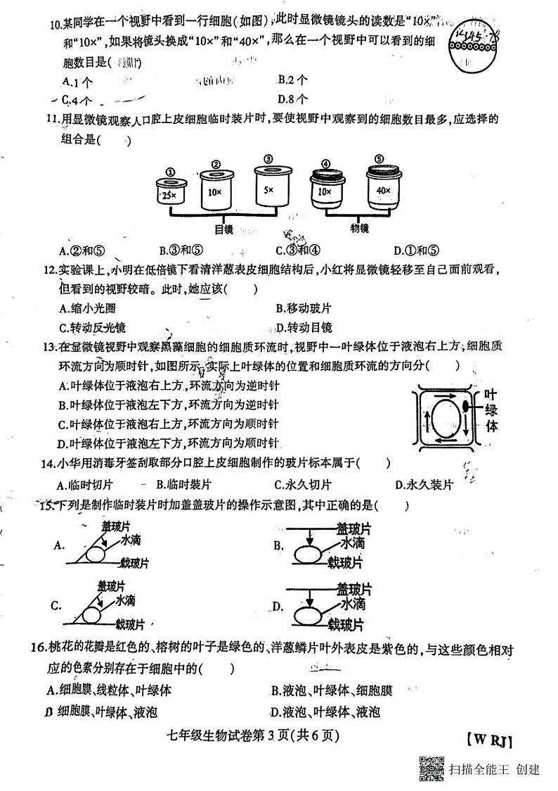 河南省开封市杞县大同中学2023—2024学年七年级上学期期中生物试题第3页