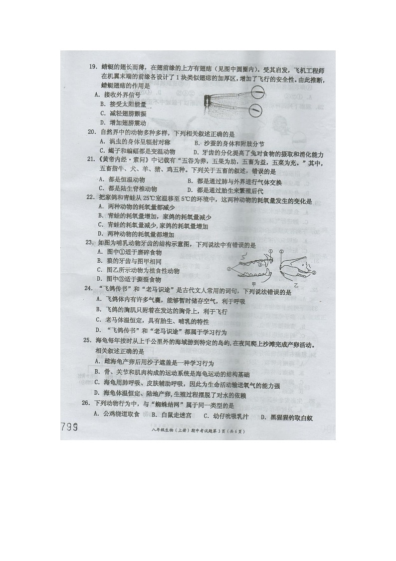 海南省文昌市2023-2024学年八年级上学期期中考试生物试题第3页