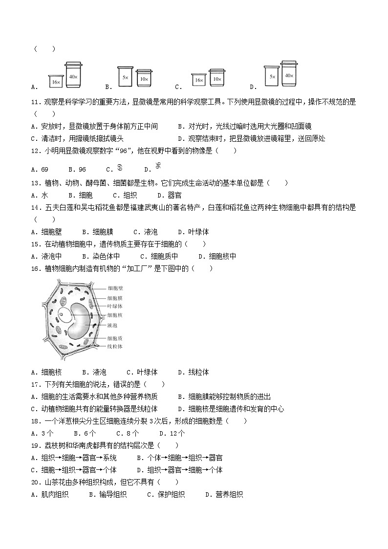 福建省泉州市德化县2023-2024学年七年级上学期期中考试生物试题第2页