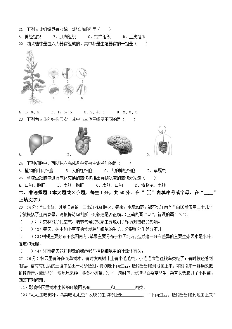 福建省泉州市德化县2023-2024学年七年级上学期期中考试生物试题第3页