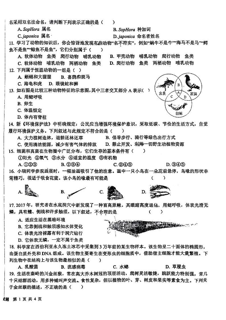 山东省日照市新营中学2023-2024学年八年级上学期期中考试生物试卷02
