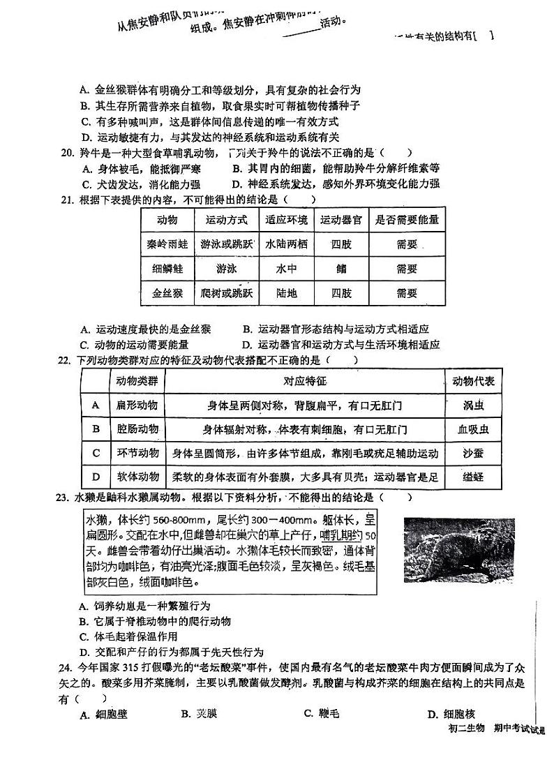 山东省日照市新营中学2023-2024学年八年级上学期期中考试生物试卷03