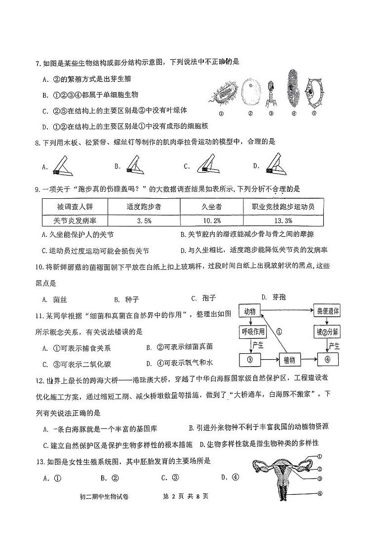 福建省泉州第一中学2023-2024学年八年级上学期期中生物试题第2页
