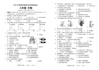 广西来宾市第三中学2023-2024学年八年级上学期期中考试生物学试卷