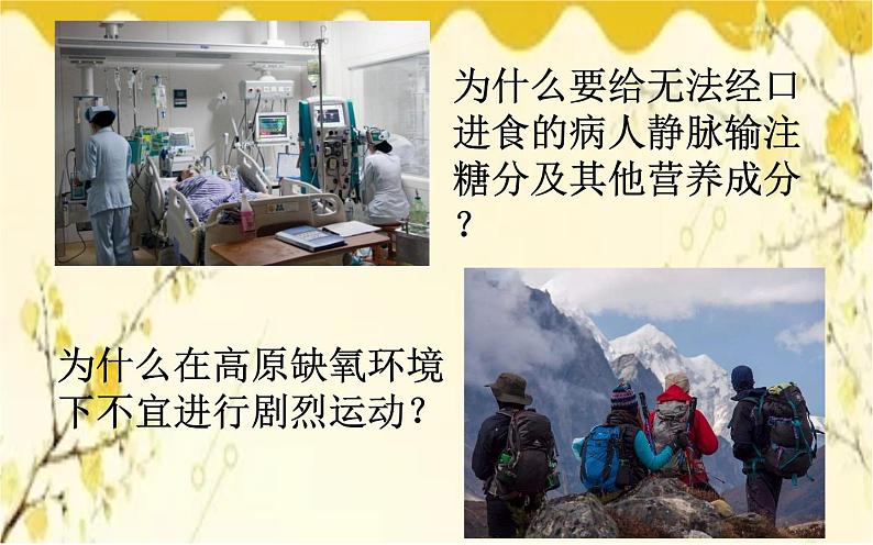 北师大版生物学七年级下册 第10章 人体的能量供应第1节 食物中能量 的释放-课件02