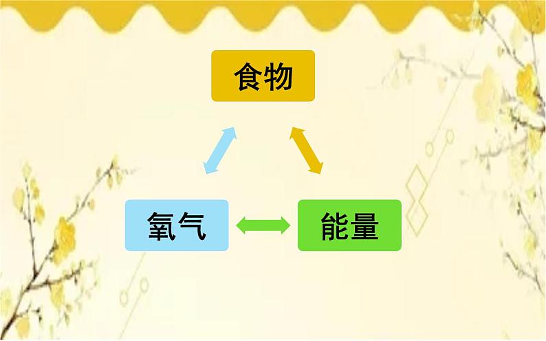北师大版生物学七年级下册 第10章 人体的能量供应第1节 食物中能量 的释放-课件03