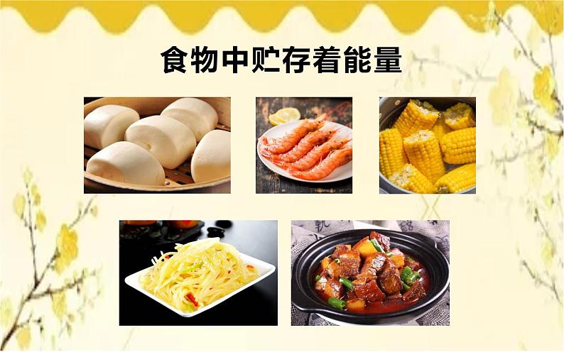 北师大版生物学七年级下册 第10章 人体的能量供应第1节 食物中能量 的释放-课件04