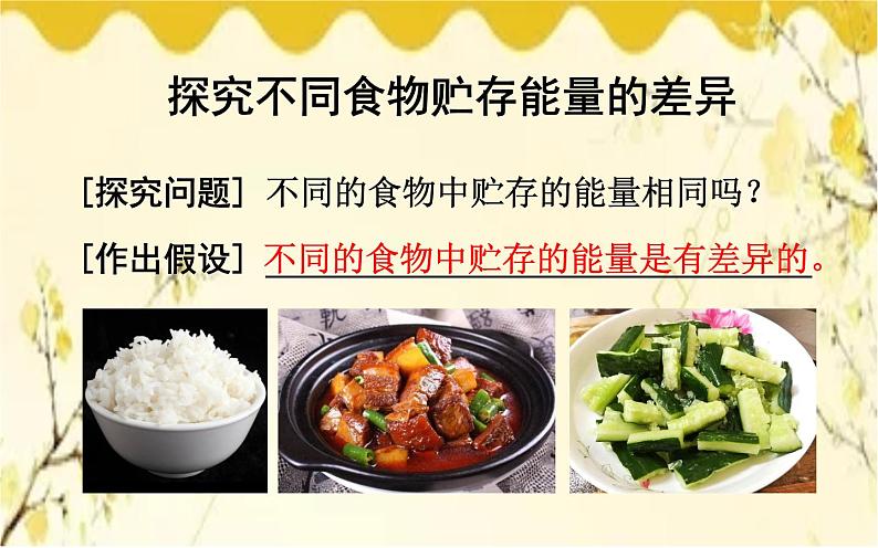 北师大版生物学七年级下册 第10章 人体的能量供应第1节 食物中能量 的释放-课件05