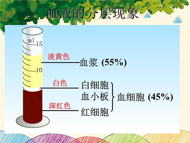 人教版生物七年级下册 第四章 人体内物质 的运输 第一节 流动的组织——血液(案例二)-课件第4页