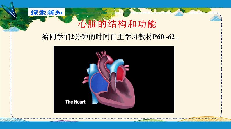 人教版生物七年级下册 第四章 人体内物质 的运输 第三节 输送血液的泵——心脏(案例一)第一课时-课件第5页
