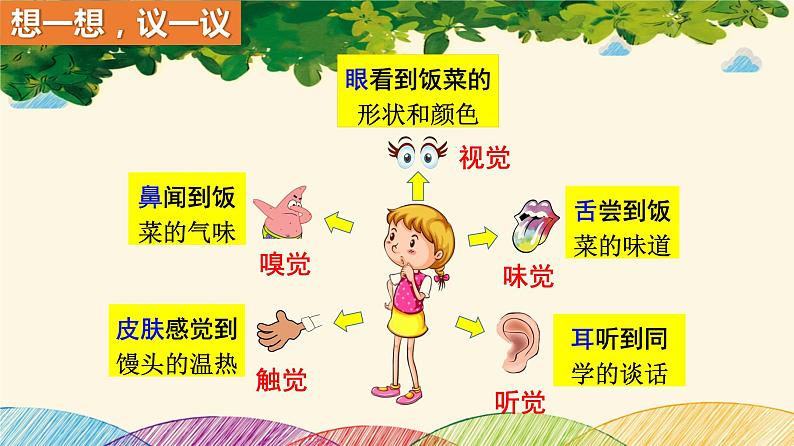 人教版生物七年级下册 第六章 人体生命活 动的调节 第一节 人体对外界环境的感知 (案例一)第一课时-课件03