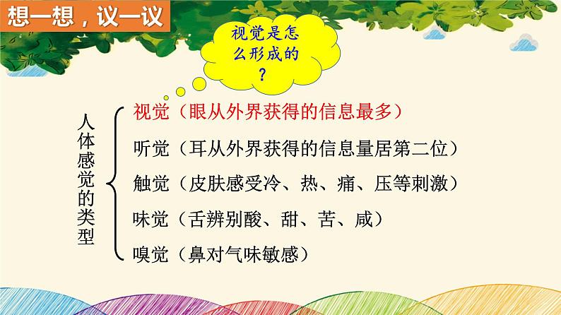 人教版生物七年级下册 第六章 人体生命活 动的调节 第一节 人体对外界环境的感知 (案例一)第一课时-课件05