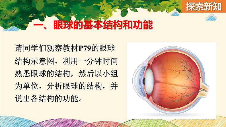 人教版生物七年级下册 第六章 人体生命活 动的调节 第一节 人体对外界环境的感知 (案例一)第一课时-课件06