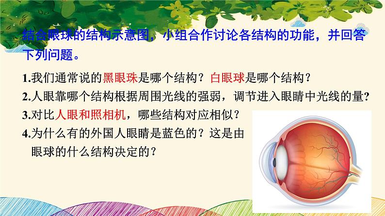 人教版生物七年级下册 第六章 人体生命活 动的调节 第一节 人体对外界环境的感知 (案例一)第一课时-课件08