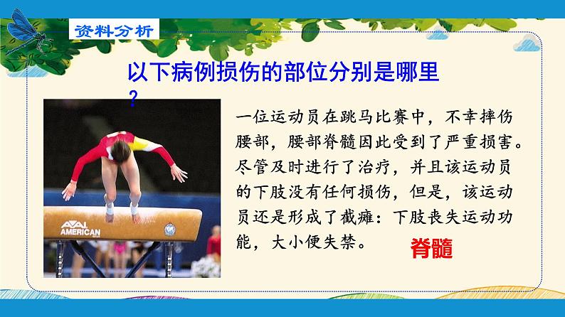 人教版生物七年级下册 第六章 人体生命活 动的调节 第二节 神经系统的组成(案例一)-课件第5页