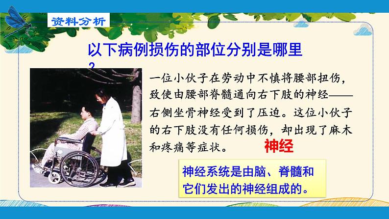 人教版生物七年级下册 第六章 人体生命活 动的调节 第二节 神经系统的组成(案例一)-课件第6页