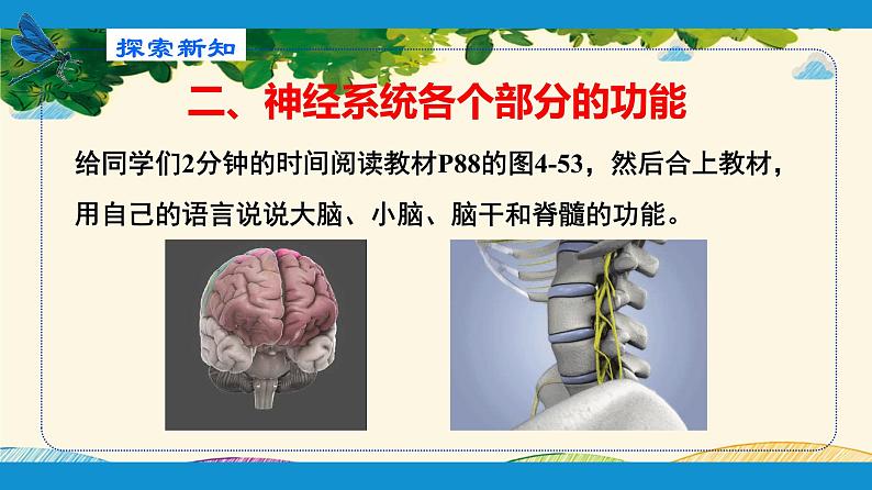 人教版生物七年级下册 第六章 人体生命活 动的调节 第二节 神经系统的组成(案例一)-课件第8页