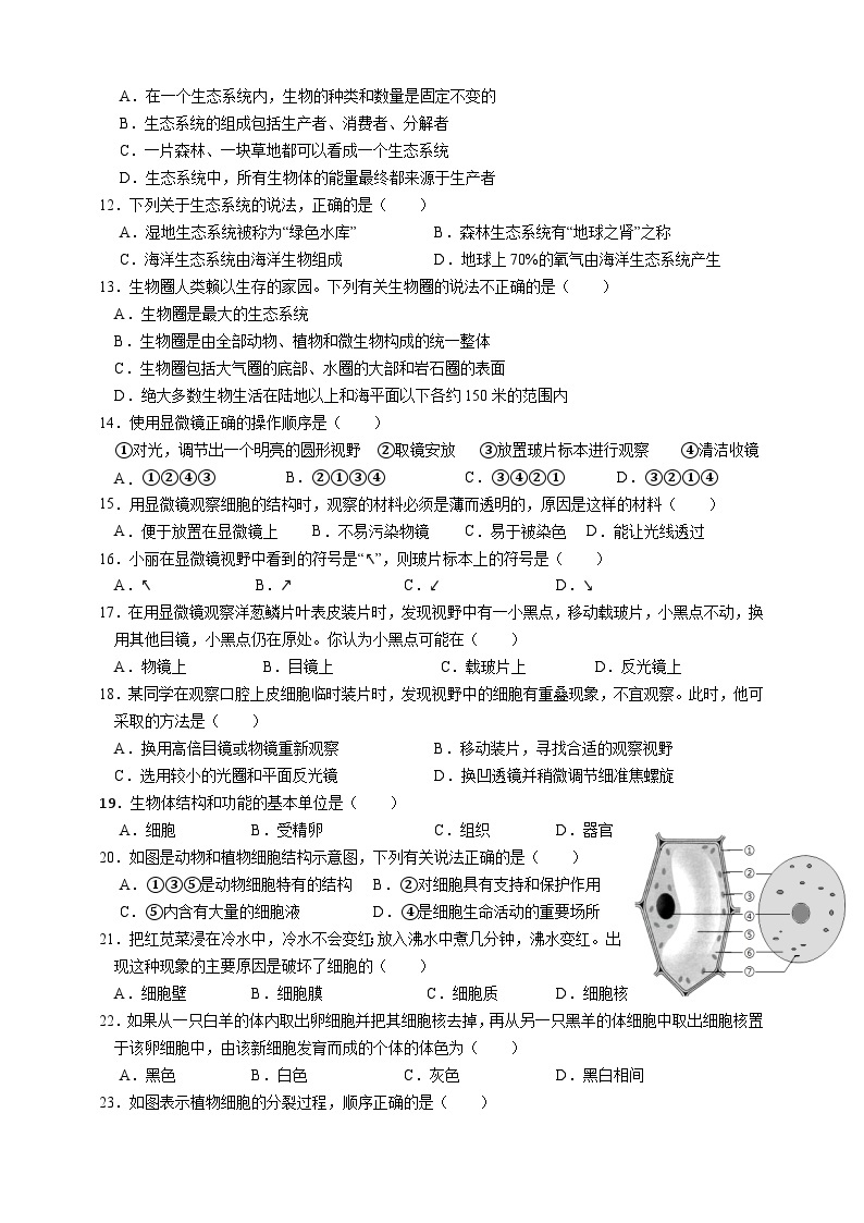 四川省达州市宣汉县双河中学2023-2024学年七年级上学期期中生物试题02