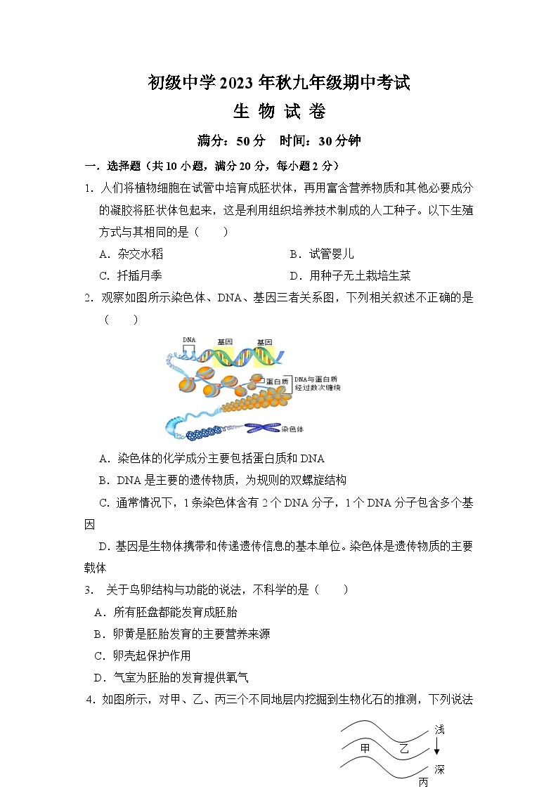 四川省达州市宣汉县双河中学2023-2024学年九年级上学期期中生物试题01